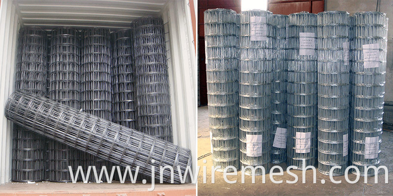 Galvanized-Welded-Wire-Mesh